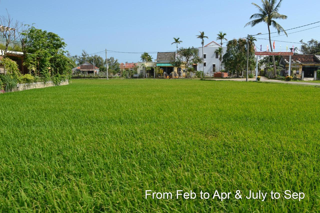 Hoi An Chic - Green Retreat Exterior photo