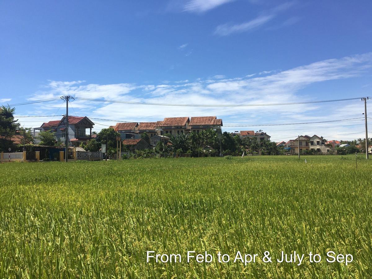 Hoi An Chic - Green Retreat Exterior photo